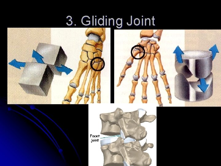 3. Gliding Joint 