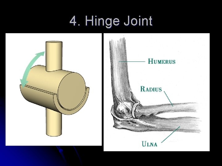 4. Hinge Joint 