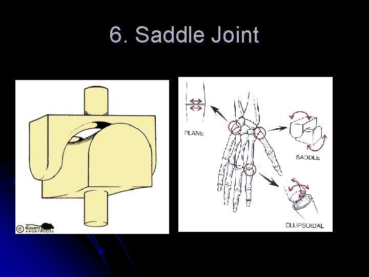 6. Saddle Joint 