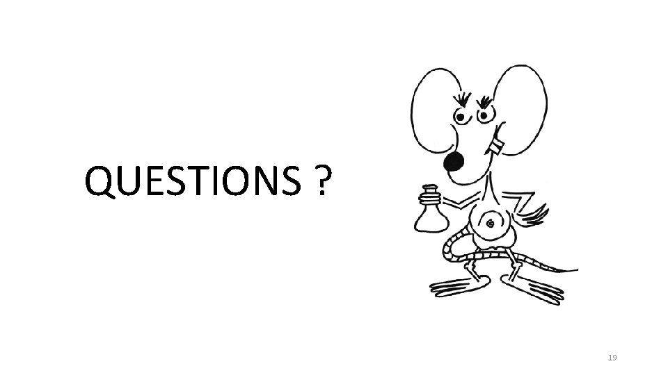 QUESTIONS ? 19 