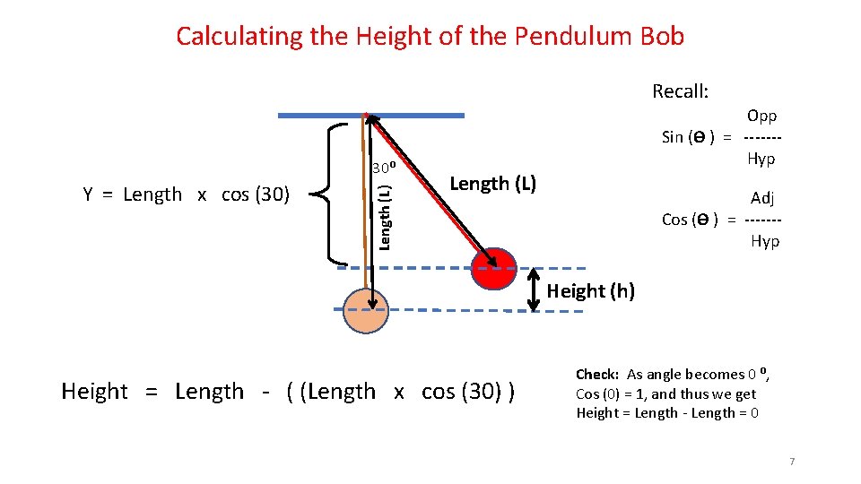 Calculating the Height of the Pendulum Bob Recall: Y = Length x cos (30)