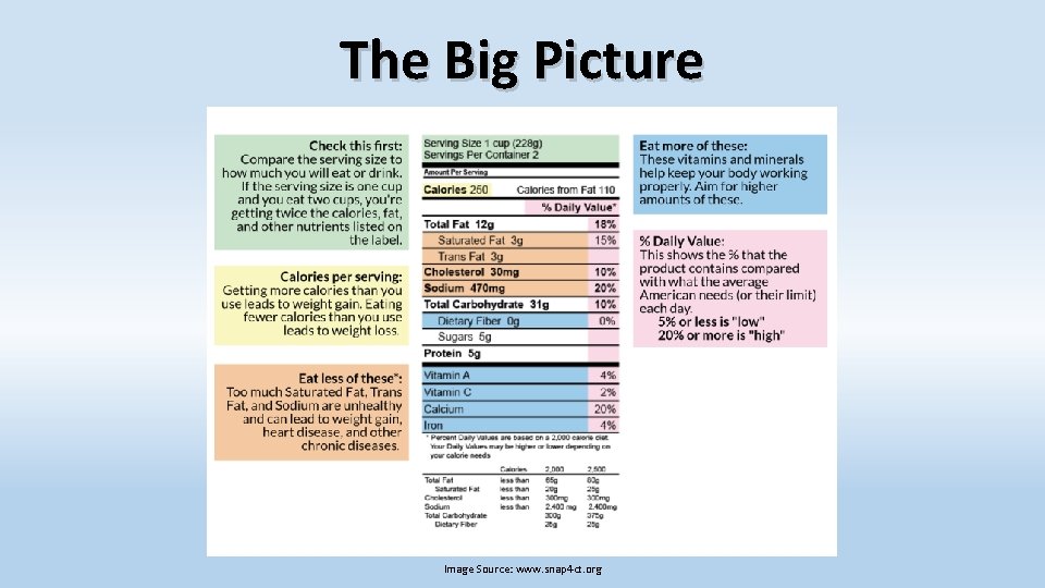 The Big Picture Image Source: www. snap 4 ct. org 