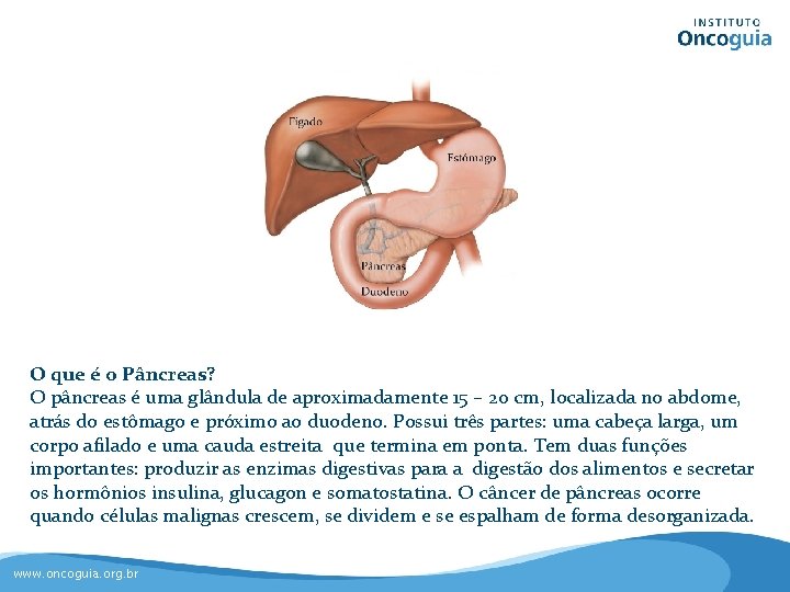 O que é o Pâncreas? O pâncreas é uma glândula de aproximadamente 15 –