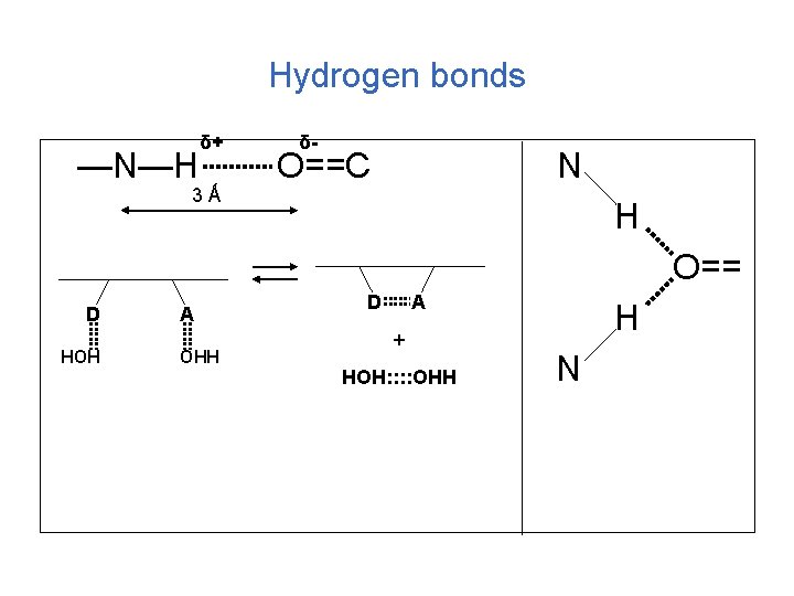 Hydrogen bonds —N—H δ+ 3Ǻ δ- O==C N H O== D HOH A OHH