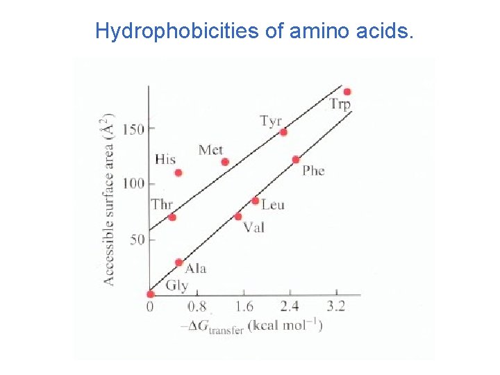 Hydrophobicities of amino acids. 
