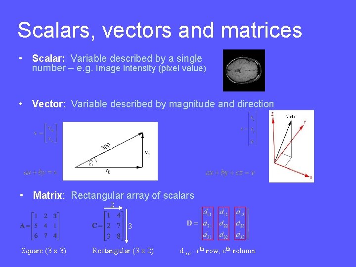 Scalars, vectors and matrices • Scalar: Variable described by a single number – e.