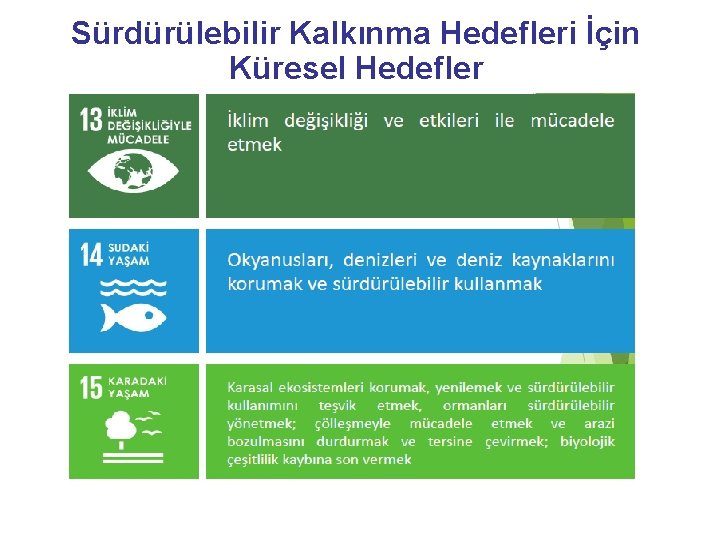 Sürdürülebilir Kalkınma Hedefleri İçin Küresel Hedefler 