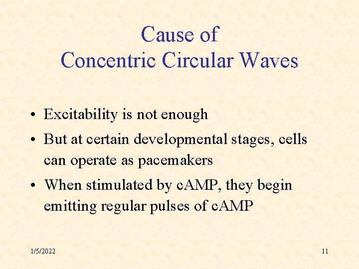 Cause of Concentric Circular Waves • Excitability is not enough • But at certain