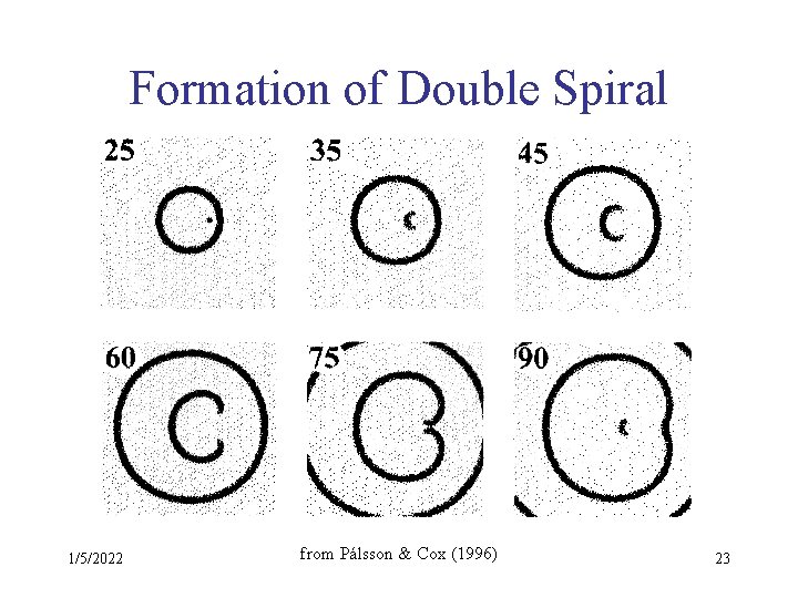 Formation of Double Spiral 1/5/2022 from Pálsson & Cox (1996) 23 