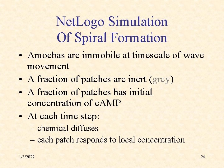 Net. Logo Simulation Of Spiral Formation • Amoebas are immobile at timescale of wave