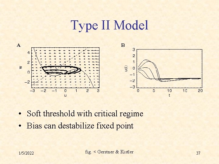 Type II Model • Soft threshold with critical regime • Bias can destabilize fixed