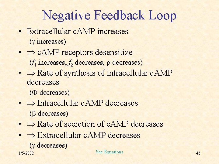 Negative Feedback Loop • Extracellular c. AMP increases ( increases) • c. AMP receptors