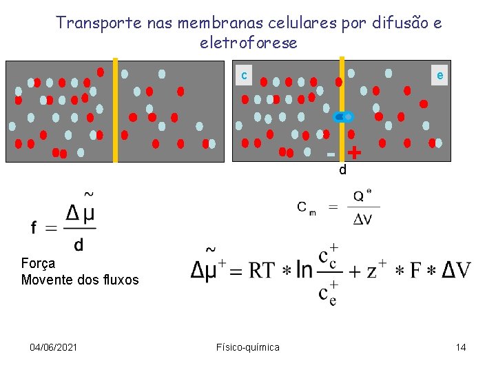 Transporte nas membranas celulares por difusão e eletroforese c e - d+ Força Movente