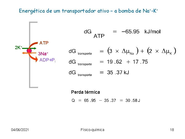 Energética de um transportador ativo – a bomba de Na +-K+ 2 K+ ATP