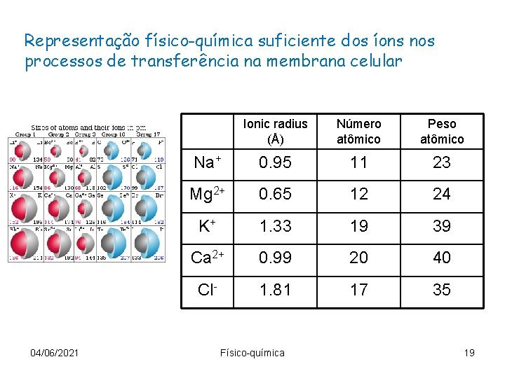 Representação físico-química suficiente dos íons nos processos de transferência na membrana celular 04/06/2021 Ionic