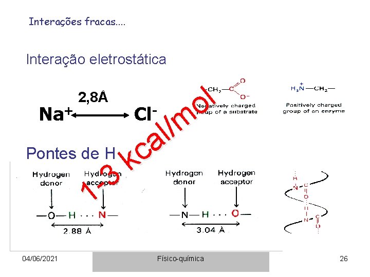 Interações fracas. . Interação eletrostática Na+ 2, 8Å Pontes de H 3 1 04/06/2021