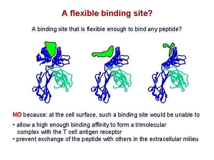 A flexible binding site? A binding site that is flexible enough to bind any