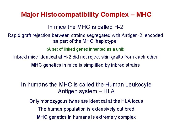 Major Histocompatibility Complex – MHC In mice the MHC is called H-2 Rapid graft