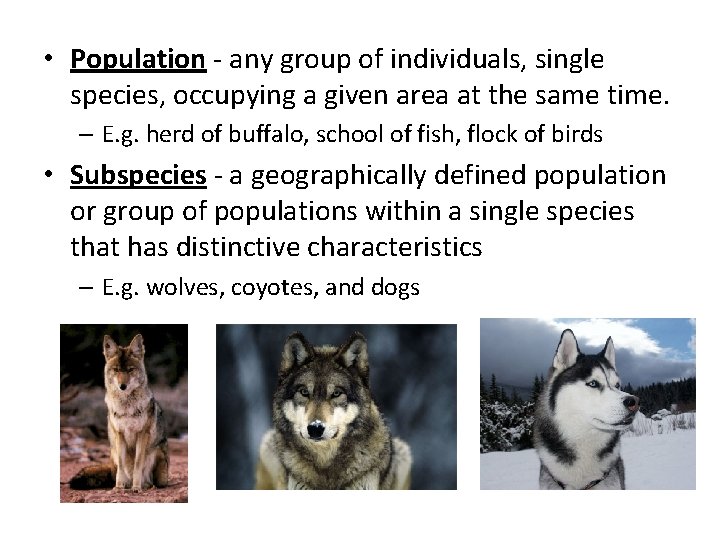  • Population - any group of individuals, single species, occupying a given area