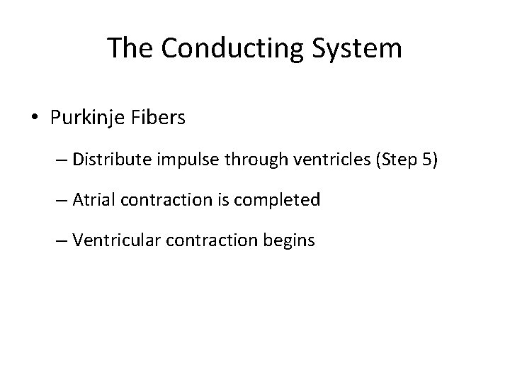 The Conducting System • Purkinje Fibers – Distribute impulse through ventricles (Step 5) –