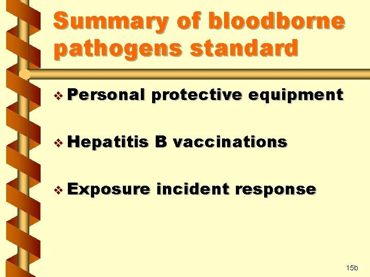 Summary of bloodborne pathogens standard v Personal protective equipment v Hepatitis B vaccinations v