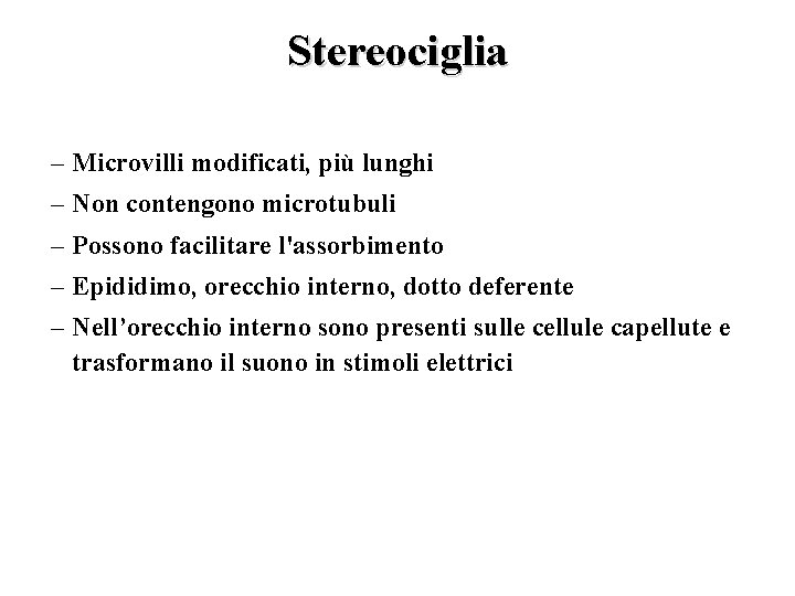 Stereociglia – Microvilli modificati, più lunghi – Non contengono microtubuli – Possono facilitare l'assorbimento