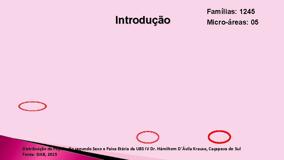 Introdução Famílias: 1245 Micro-áreas: 05 Distribuição da População segundo Sexo e Faixa Etária da