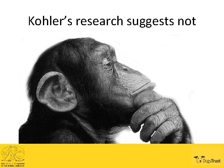 Kohler’s research suggests not 