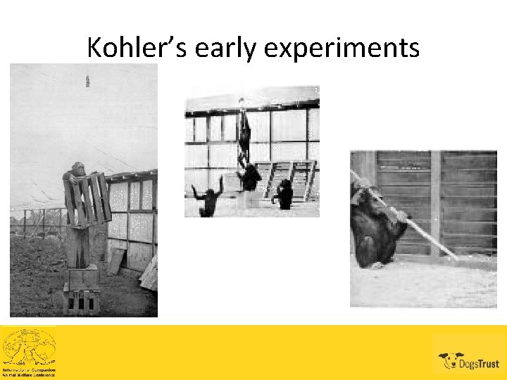 Kohler’s early experiments 