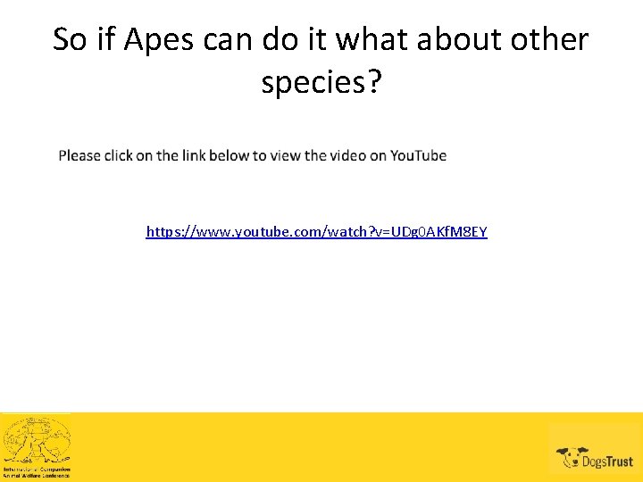 So if Apes can do it what about other species? https: //www. youtube. com/watch?