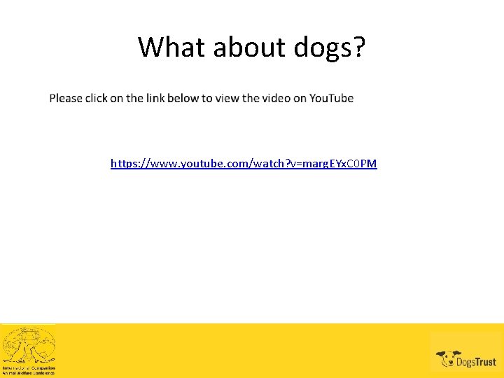 What about dogs? https: //www. youtube. com/watch? v=marg. EYx. C 0 PM 