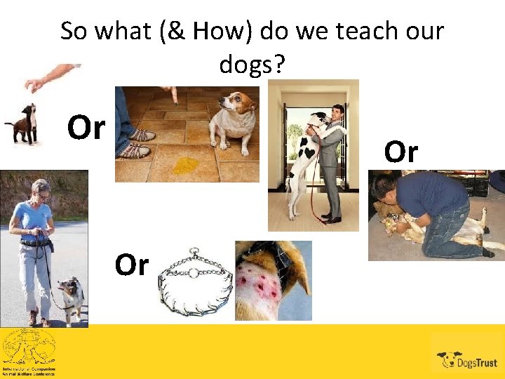 So what (& How) do we teach our dogs? Or Or Or 
