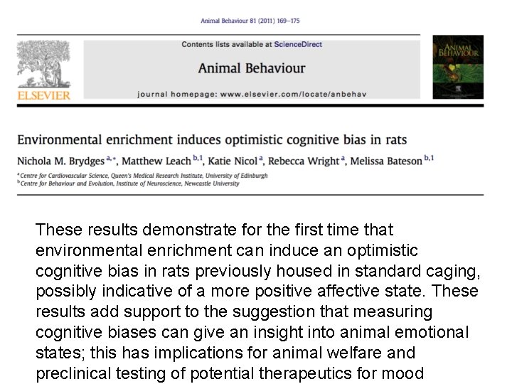 These results demonstrate for the first time that environmental enrichment can induce an optimistic