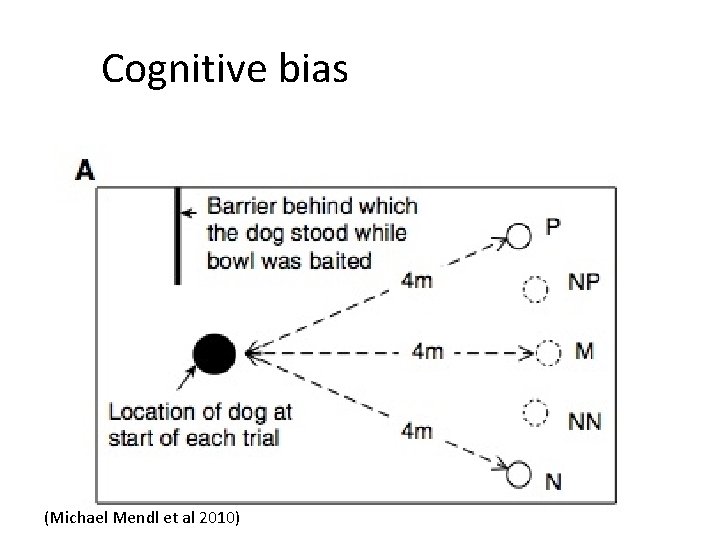 Cognitive bias (Michael Mendl et al 2010) 