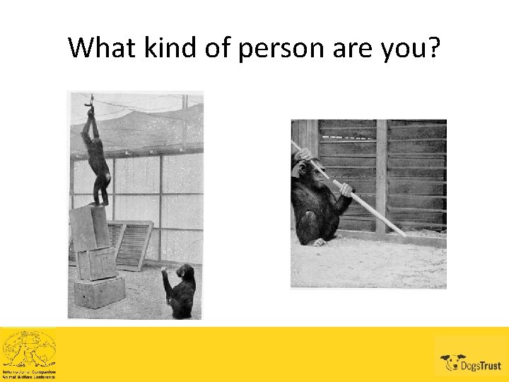 What kind of person are you? 
