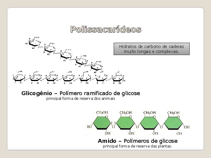 Polissacarídeos Hidratos de carbono de cadeias muito longas e complexas. Glicogénio – Polímero ramificado