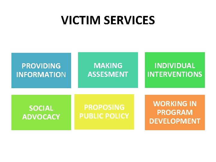 VICTIM SERVICES PROVIDING INFORMATION SOCIAL ADVOCACY MAKING ASSESMENT INDIVIDUAL INTERVENTIONS PROPOSING PUBLIC POLICY WORKING