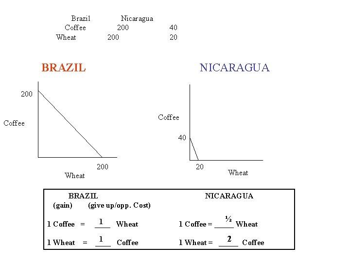 Brazil Coffee Wheat Nicaragua 200 40 20 BRAZIL NICARAGUA 200 Coffee 40 200 Wheat