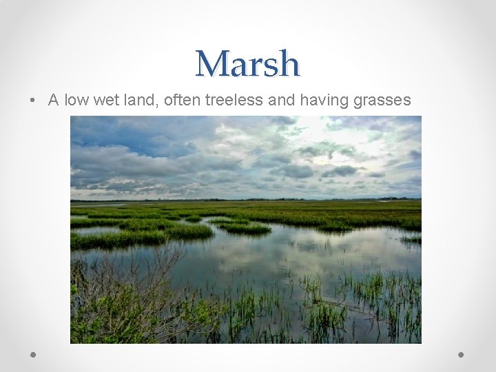 Marsh • A low wet land, often treeless and having grasses 