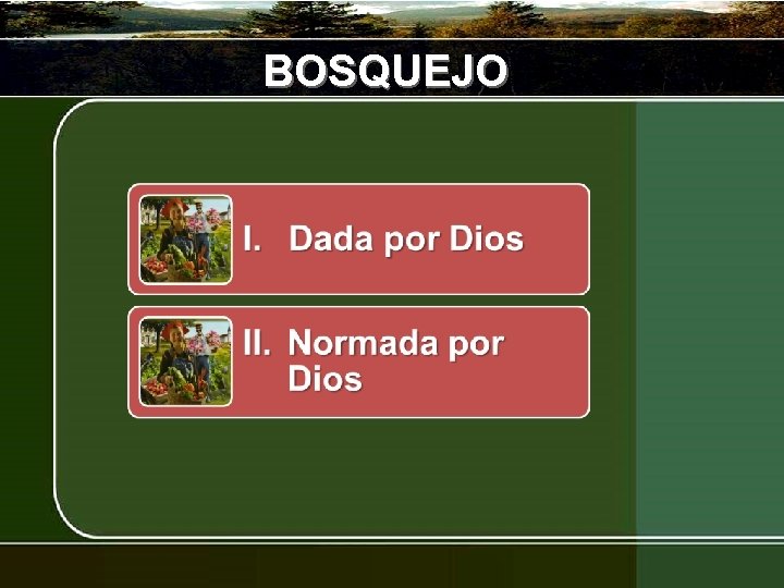 BOSQUEJO 