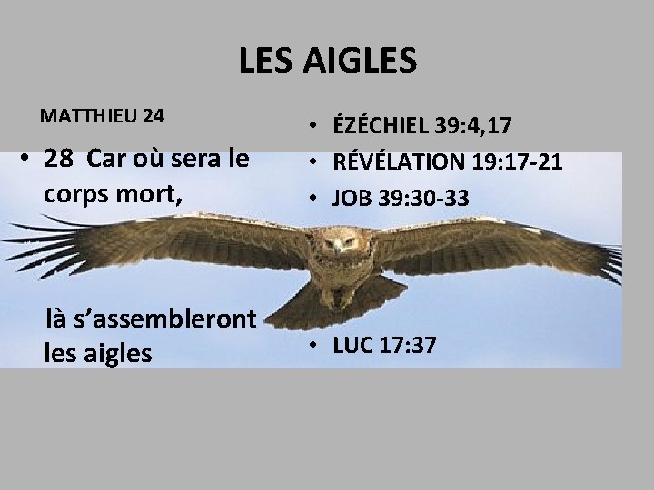 LES AIGLES MATTHIEU 24 • 28 Car où sera le corps mort, là s’assembleront