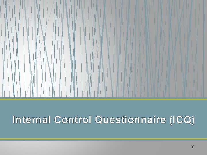 Internal Control Questionnaire (ICQ) 38 