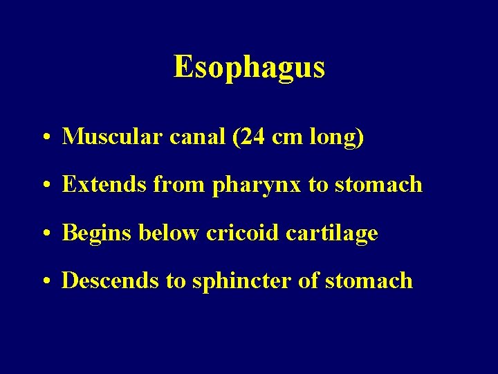 Esophagus • Muscular canal (24 cm long) • Extends from pharynx to stomach •