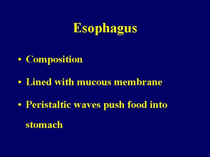 Esophagus • Composition • Lined with mucous membrane • Peristaltic waves push food into