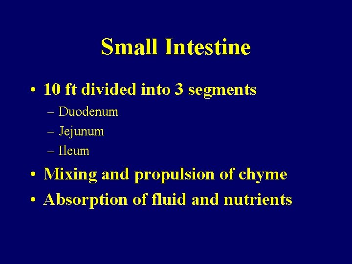 Small Intestine • 10 ft divided into 3 segments – Duodenum – Jejunum –
