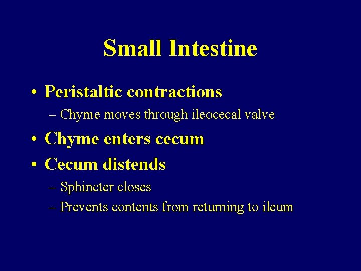 Small Intestine • Peristaltic contractions – Chyme moves through ileocecal valve • Chyme enters