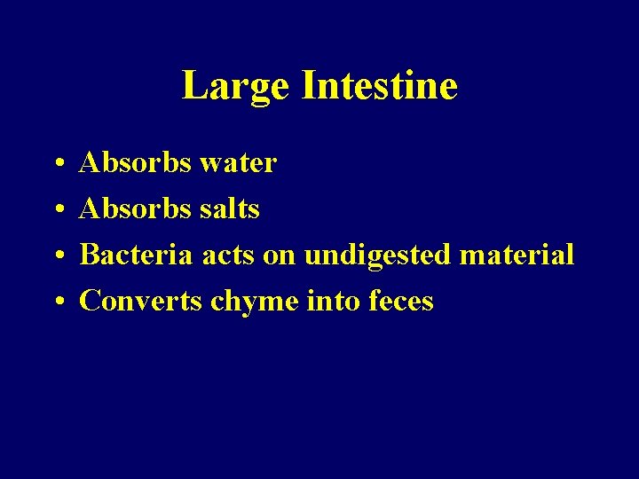 Large Intestine • • Absorbs water Absorbs salts Bacteria acts on undigested material Converts