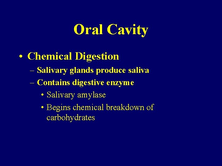 Oral Cavity • Chemical Digestion – Salivary glands produce saliva – Contains digestive enzyme