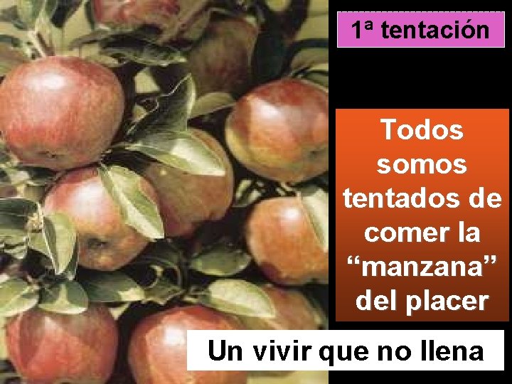 1ª tentación Todos somos tentados de comer la “manzana” del placer Un vivir que