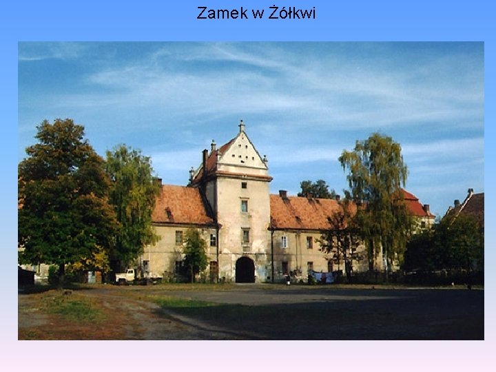 Zamek w Żółkwi 